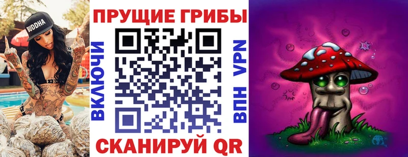 Купить закладки  Сибай  Галлюциногенные грибы Cubensis 