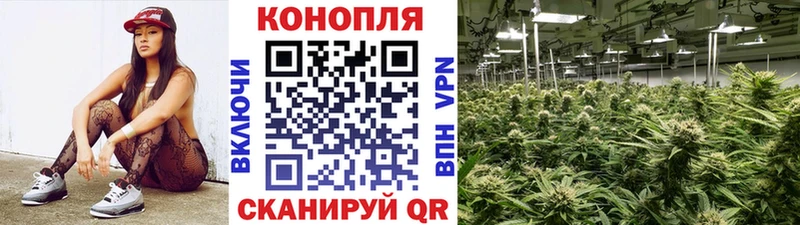 Купить где  Сибай  Канабис план 